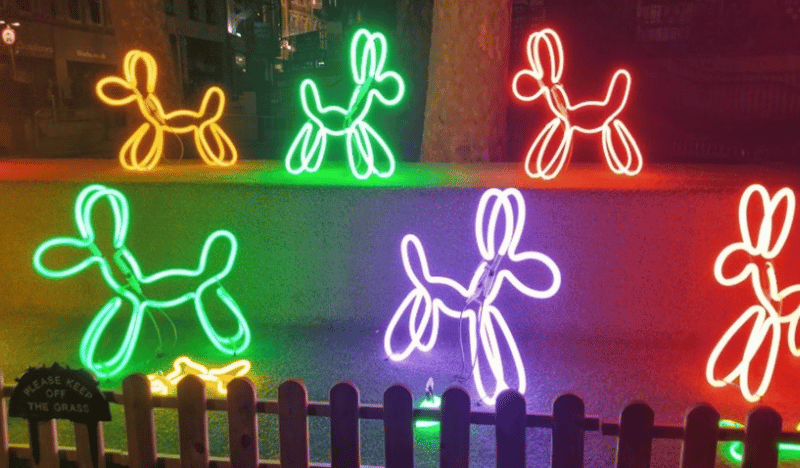 Neon dogs Light Night 2023 (1)